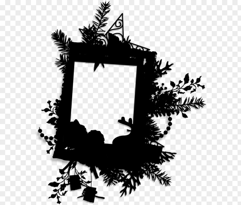 Christmas Decoration Conifer Black And White Frame PNG