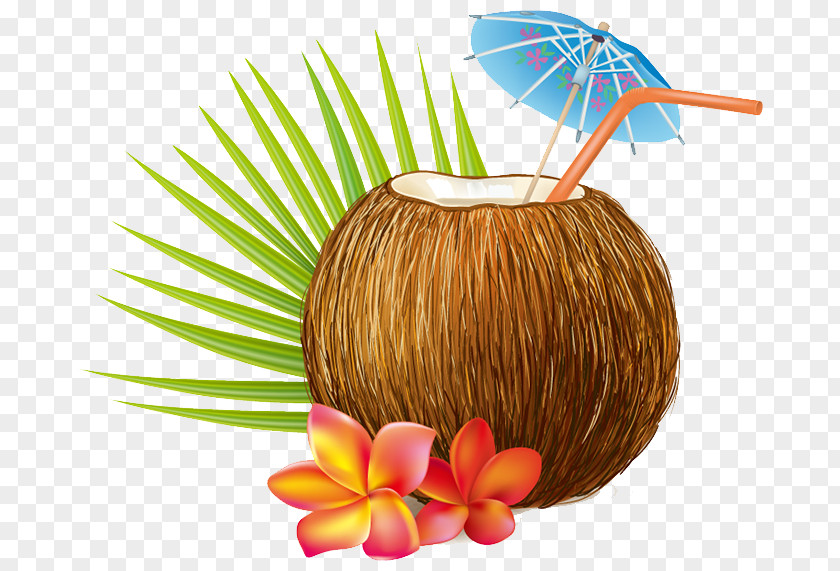 Coconut Cocktail Water Milk PNG