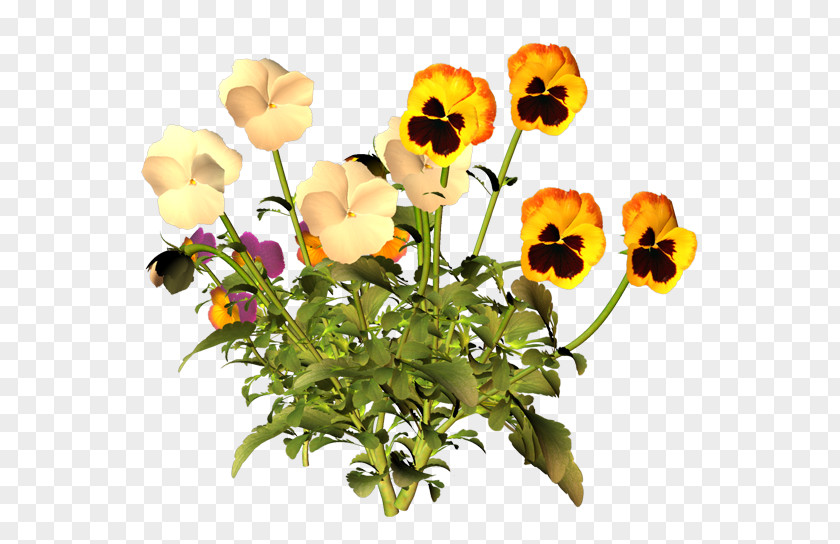Flower Wildflower Blume PNG