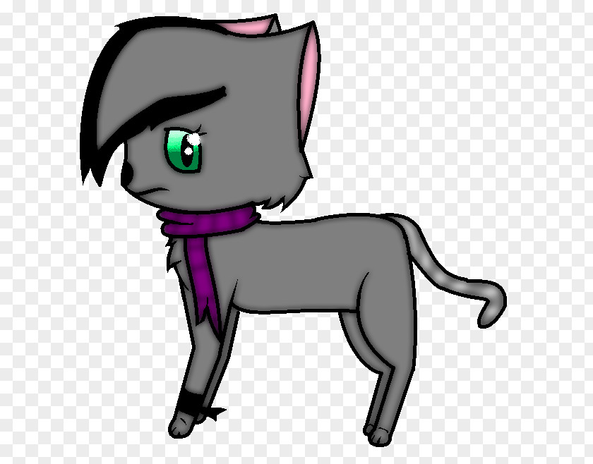 Kitten Whiskers Dog Cat Horse PNG