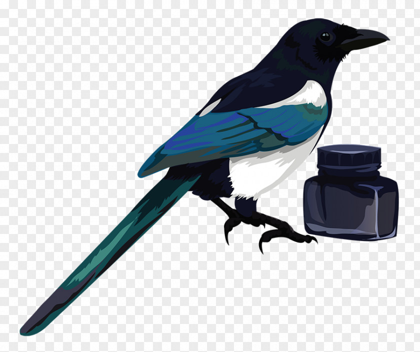 Magpie Vector Eurasian DeviantArt Bird Clip Art PNG