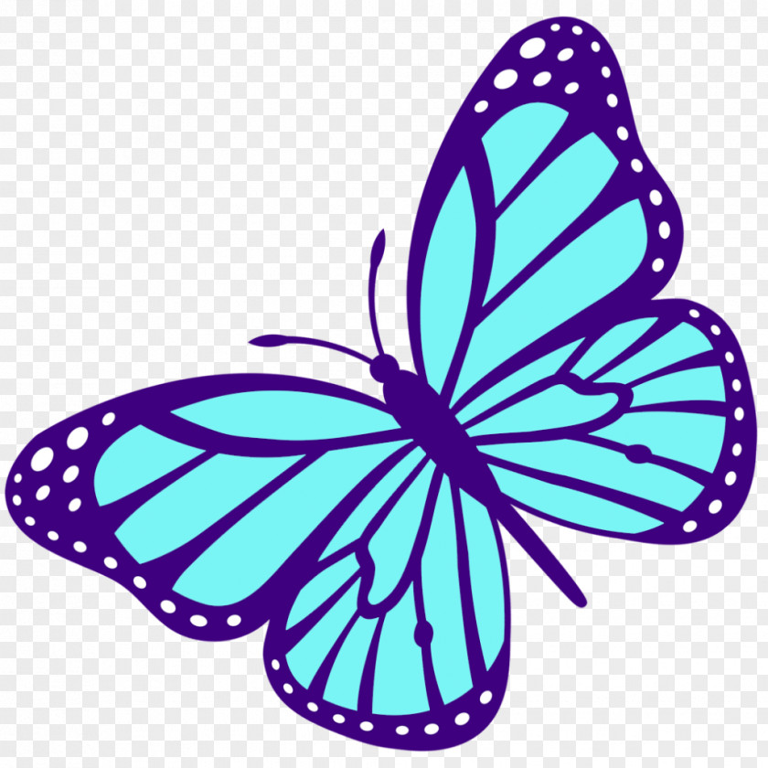 Monarch Butterfly Anfa 123 Chp Kuznetsov B. V. Color PNG