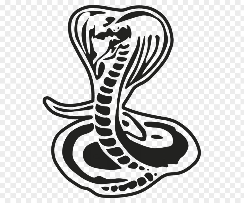 Serpent Snake Cartoon PNG