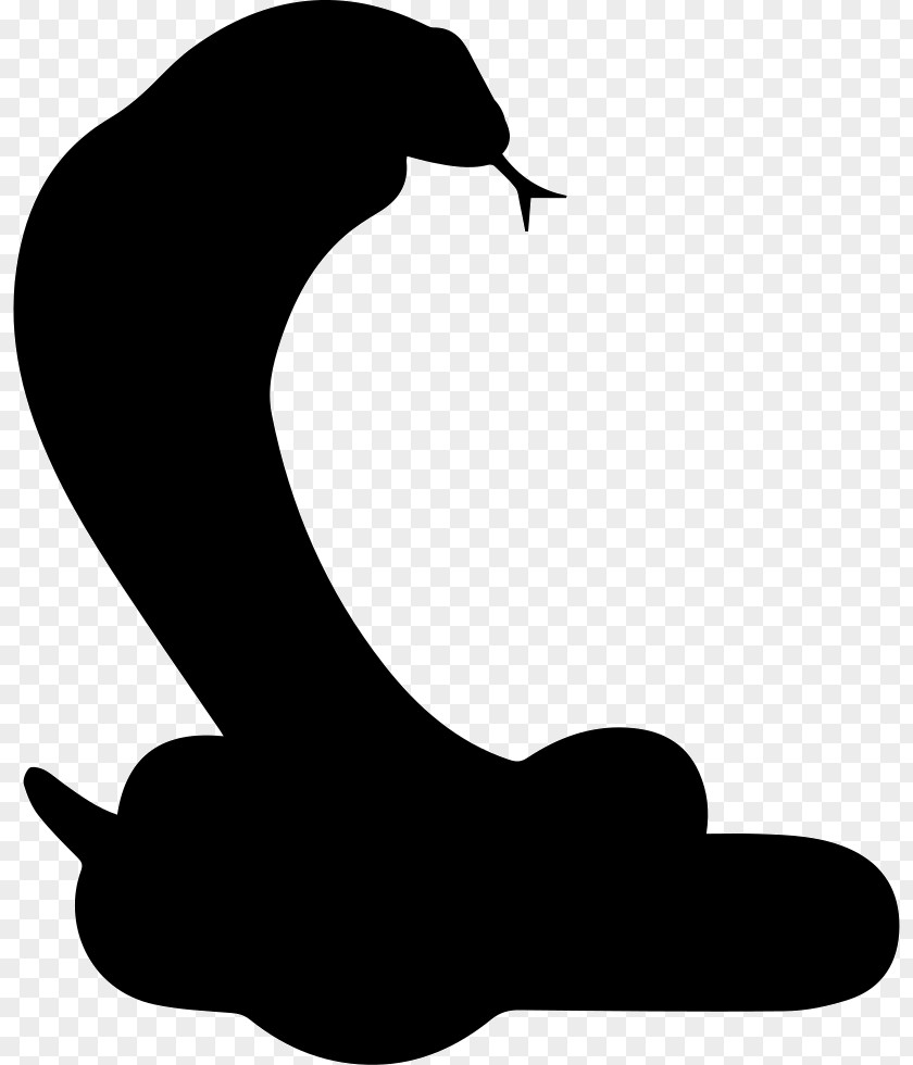 Silhouette Snakes Reptile Image PNG