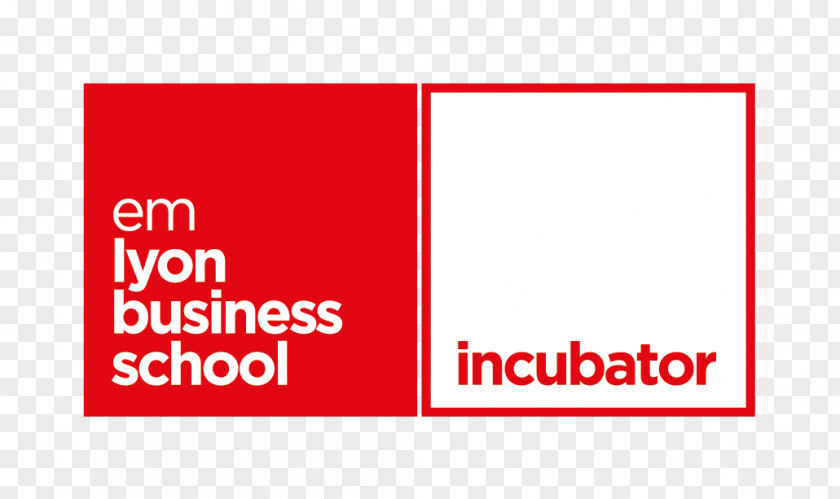Student EMLYON Business School Institut National Des Sciences Appliquées De Lyon ESDES Of And Management Junior Enterprise PNG