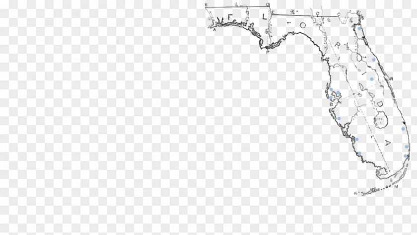 Florida Line Art Drawing Point Angle PNG