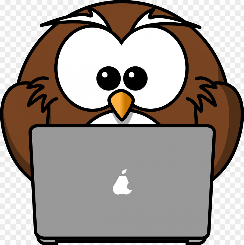 Owls Tawny Owl Cartoon Clip Art PNG