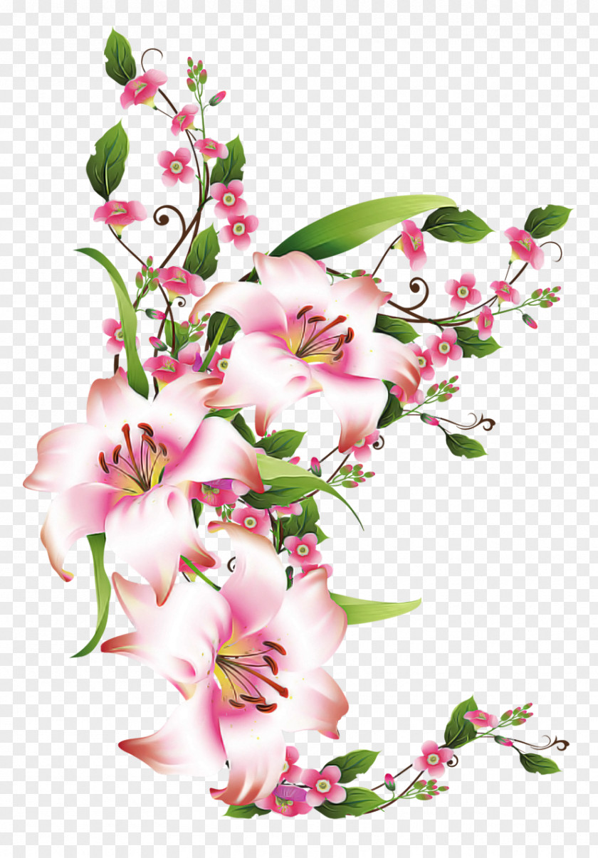 Pedicel Bouquet Flower Flowering Plant Pink Cut Flowers PNG