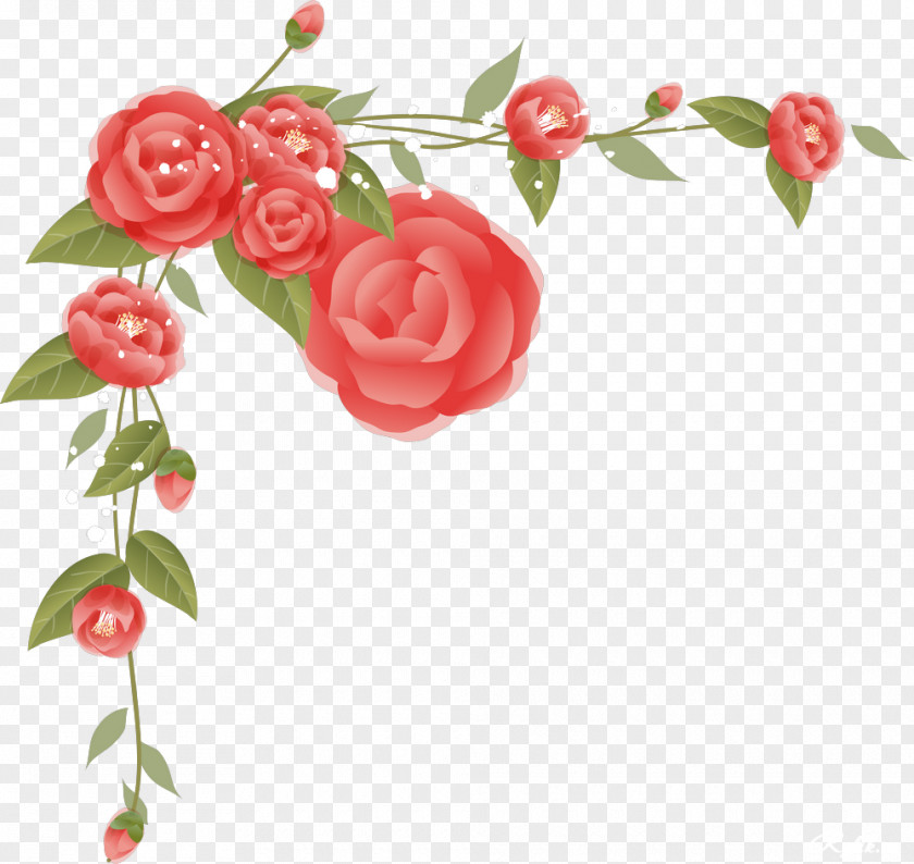 Pretty Flowers Border Floral Design Graphic PNG