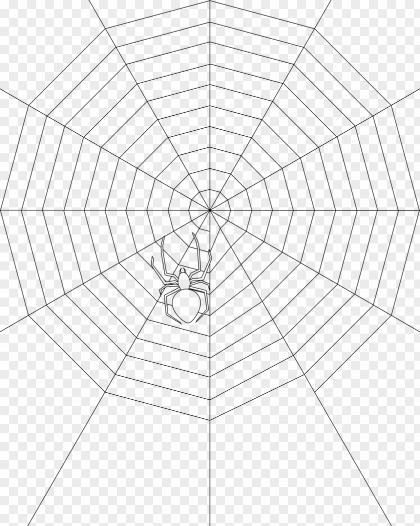 Spiderweb Pattern White Point Symmetry Angle PNG