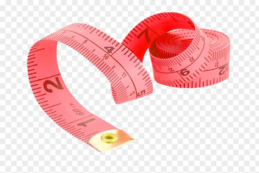 Tape Measure Measures Ruler Measurement Human Body Length PNG