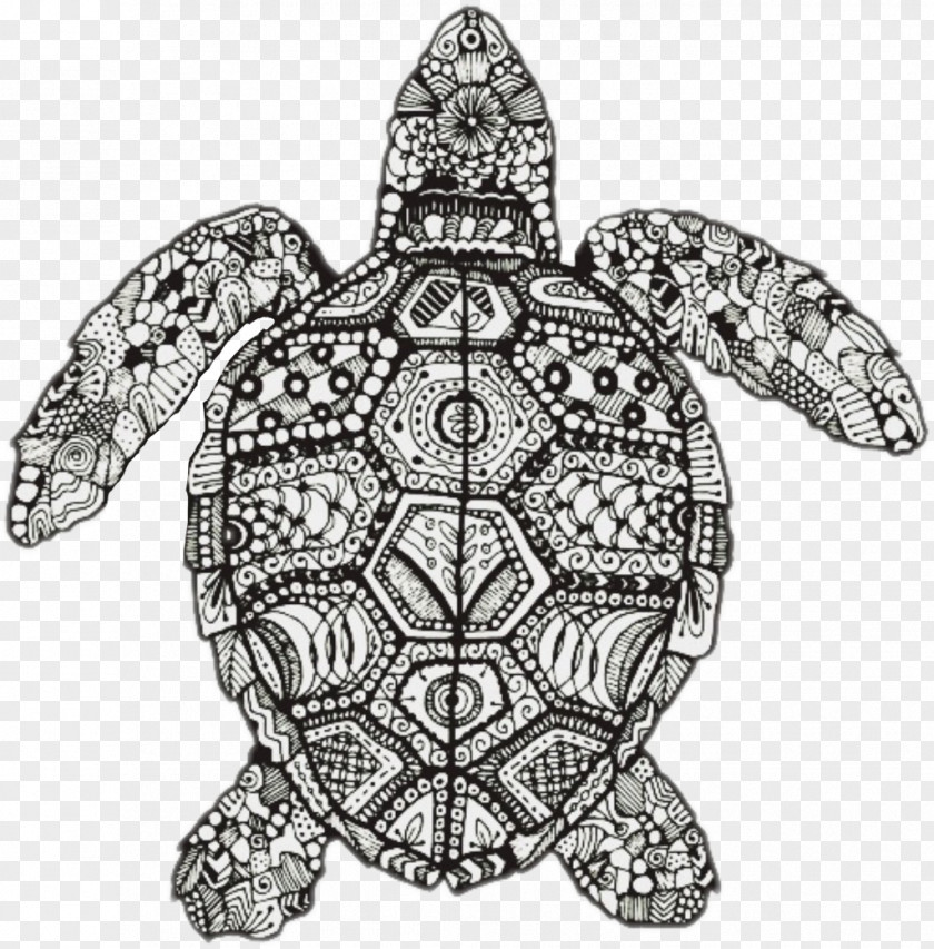 Turtle Drawing Hawksbill Mandala Doodle Zentangle Coloring Book PNG