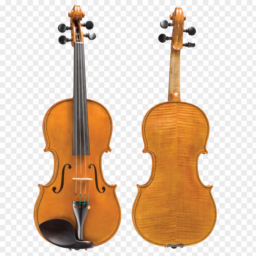 Violin Bass Viola Violone Cello PNG