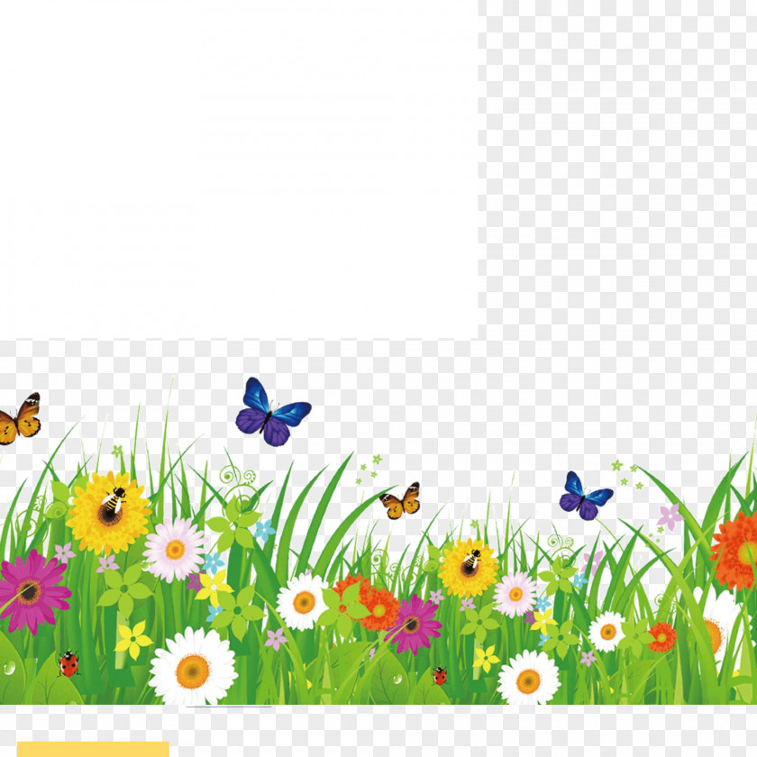 Airflow Cartoon Vector Graphics Clip Art Stock Photography Flower Image PNG