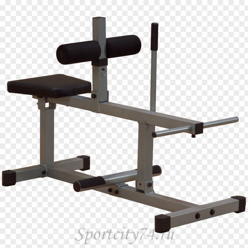 Calf Raises Exercise Equipment Machine PNG