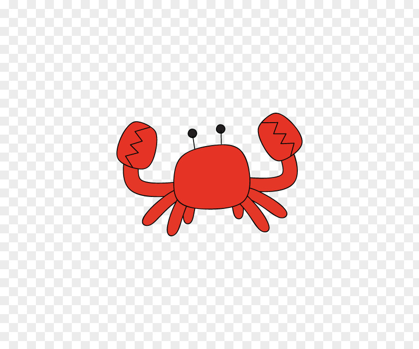 Crab Animal Decapoda PNG