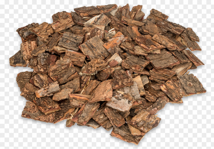 Tree Bark Neem Driftwood PNG