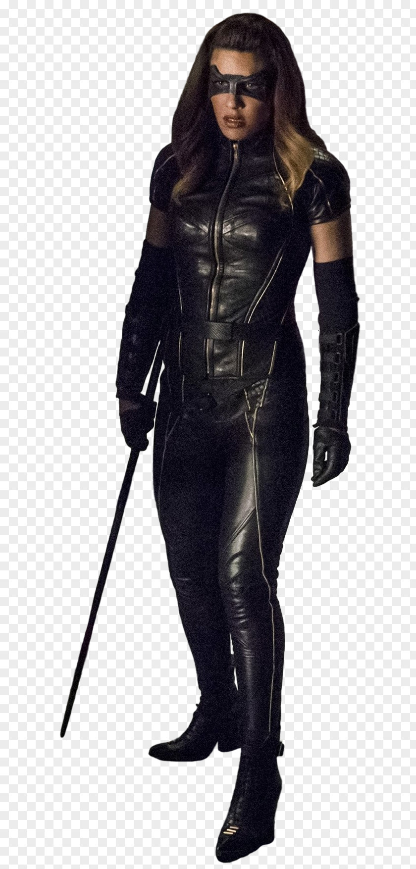 Vixen Black Canary Catwoman Cisco Ramon Arrow PNG