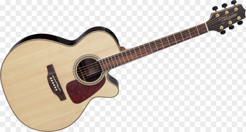 Acoustic Twelve-string Guitar Steel-string Takamine Guitars PNG