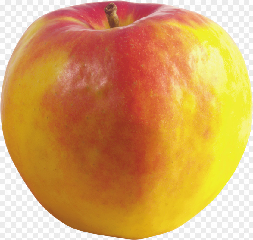 Apple Image Clip Art PNG