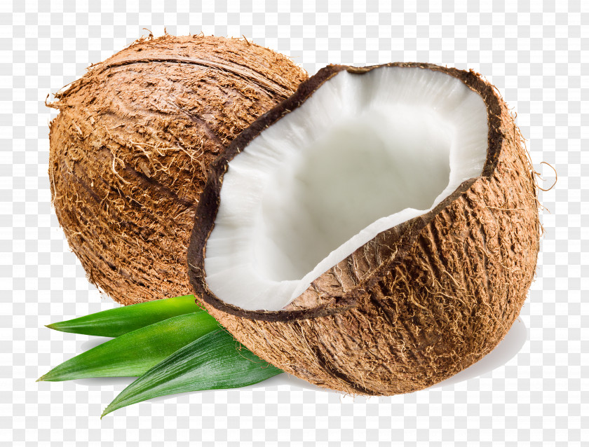 Coconut Water Milk Oil PNG water milk oil, coconut sliced clipart PNG