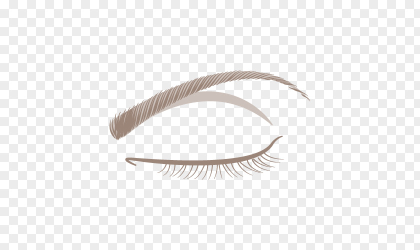Eyelash Eyebrow Feather PNG