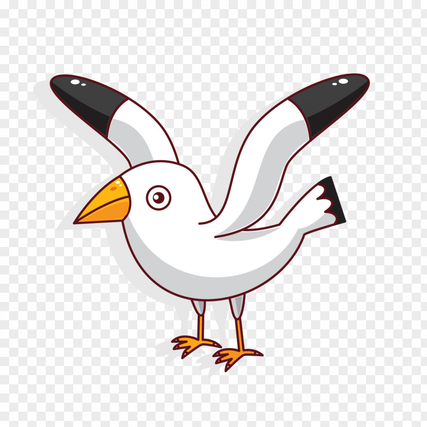 Gulls Owl Vector Graphics Bird Drawing Illustration PNG