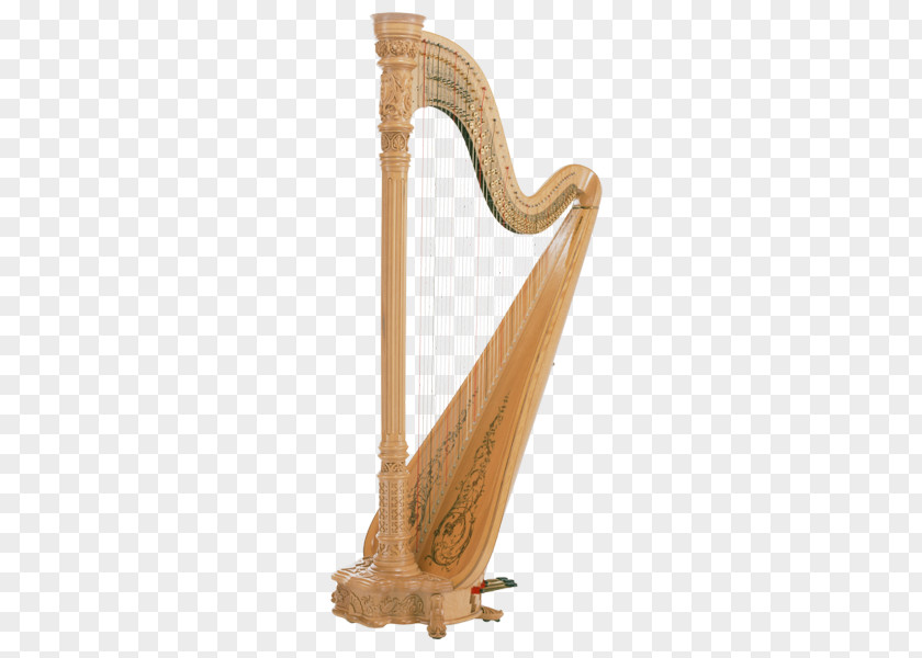 Harp Musical Instrument Plucked String PNG