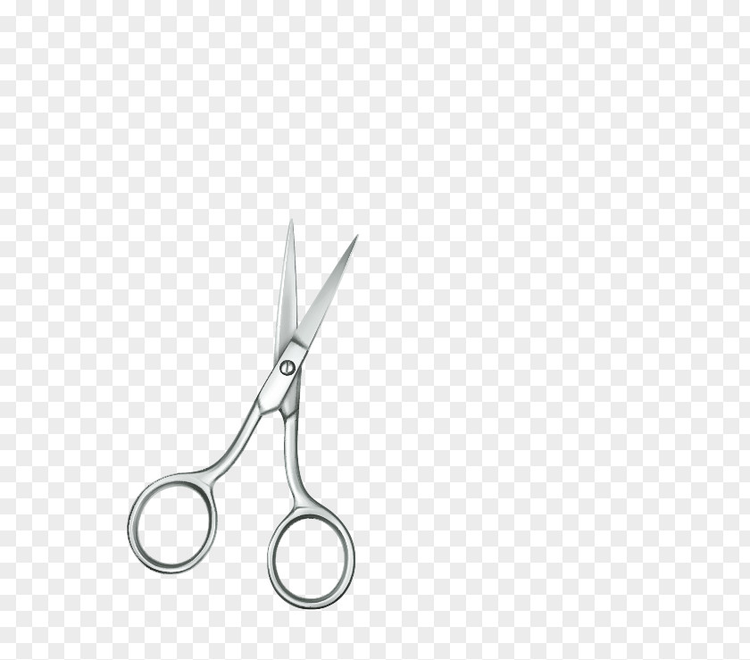 Silver Scissors Hair Care PNG