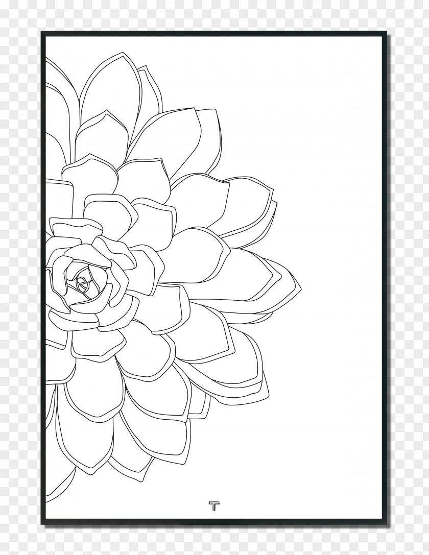 Succulant Floral Design Drawing Succulent Plant Sketch PNG