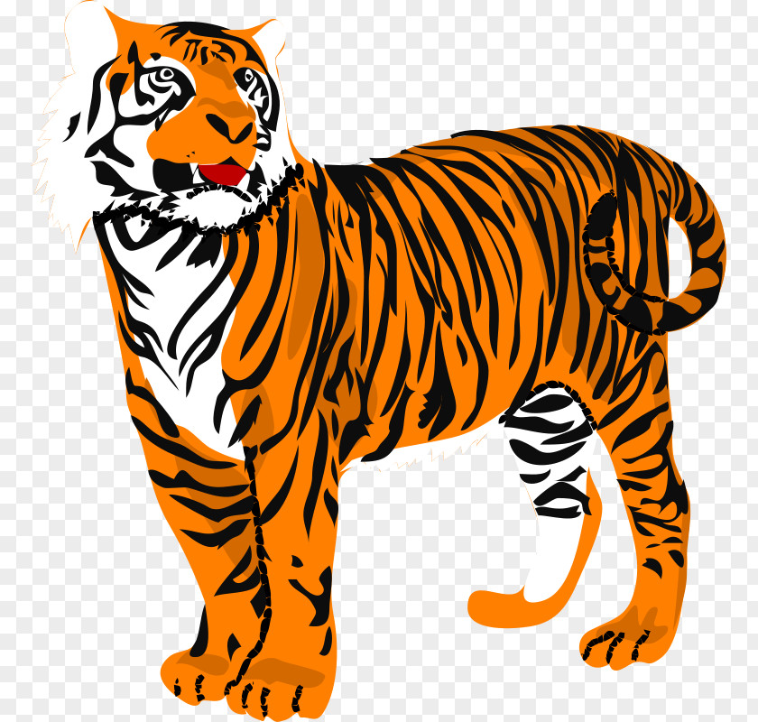 Tiger Vector Art Free Content Clip PNG