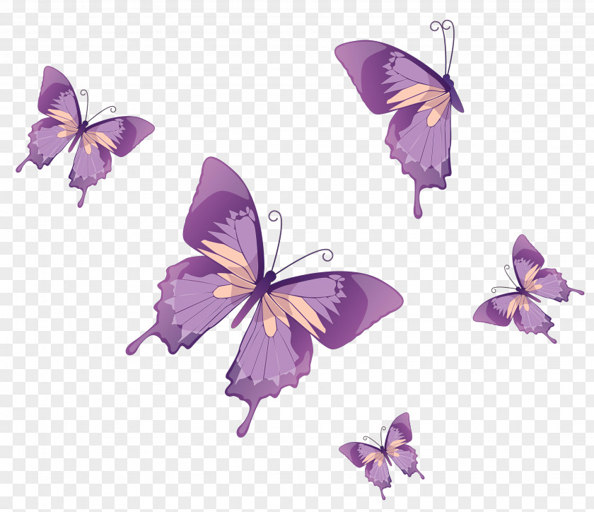 Butterflies Vector Clipart Butterfly Nymphalidae Clip Art PNG