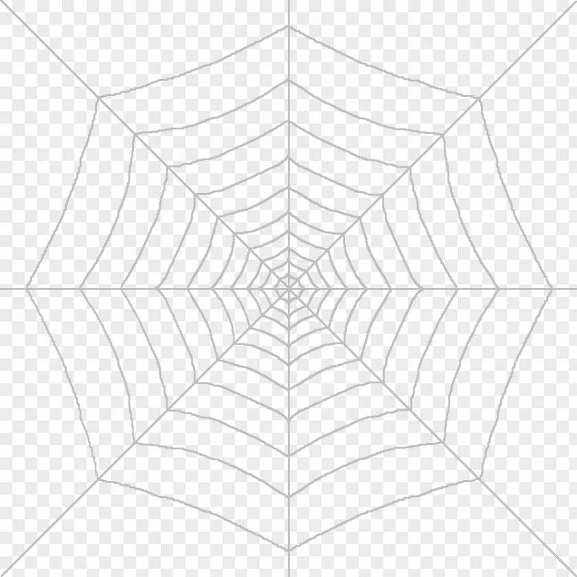 HD Spider Web Symmetry Structure Pattern PNG