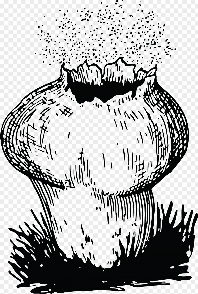 Mushroom Spore Fungus Puffball Reproduction PNG