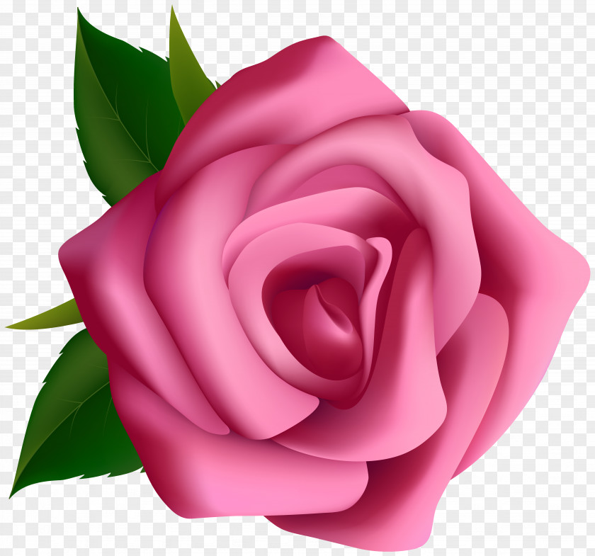 Pink Rose Clipart Image Clip Art PNG