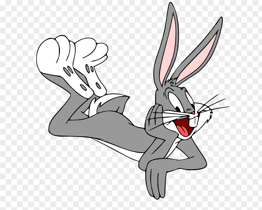 Rabbit Bugs Bunny Daffy Duck Character PNG