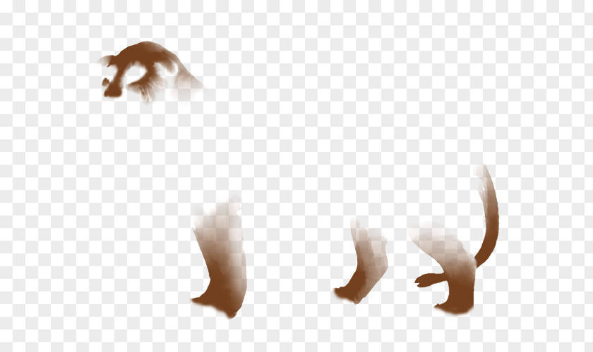 Smudges Lion Light Mammal Color Mane PNG