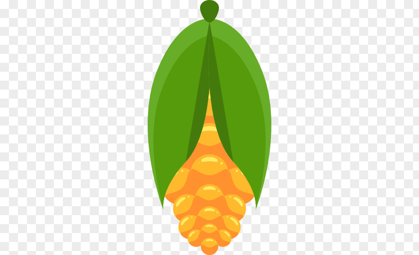 Corn Cartoon Maize PNG