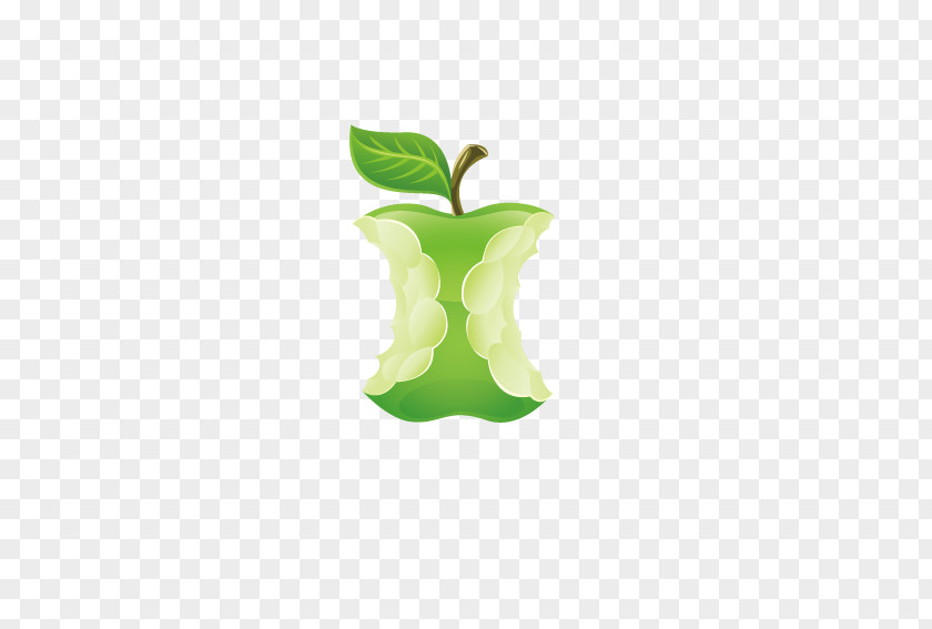 Delicious Green Apple Illustrator PNG