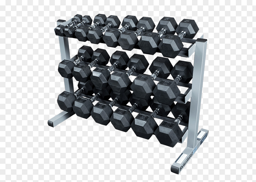 Dumbbell Rack Powerline PDR282XRFWS With Rubber Dumbbells Weight Training Body Solid Dual Swivel T Bar Row Platform Exercise PNG