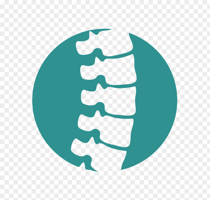 Ergonomic Icon Vertebral Column Vector Graphics Royalty-free Chiropractic Illustration PNG