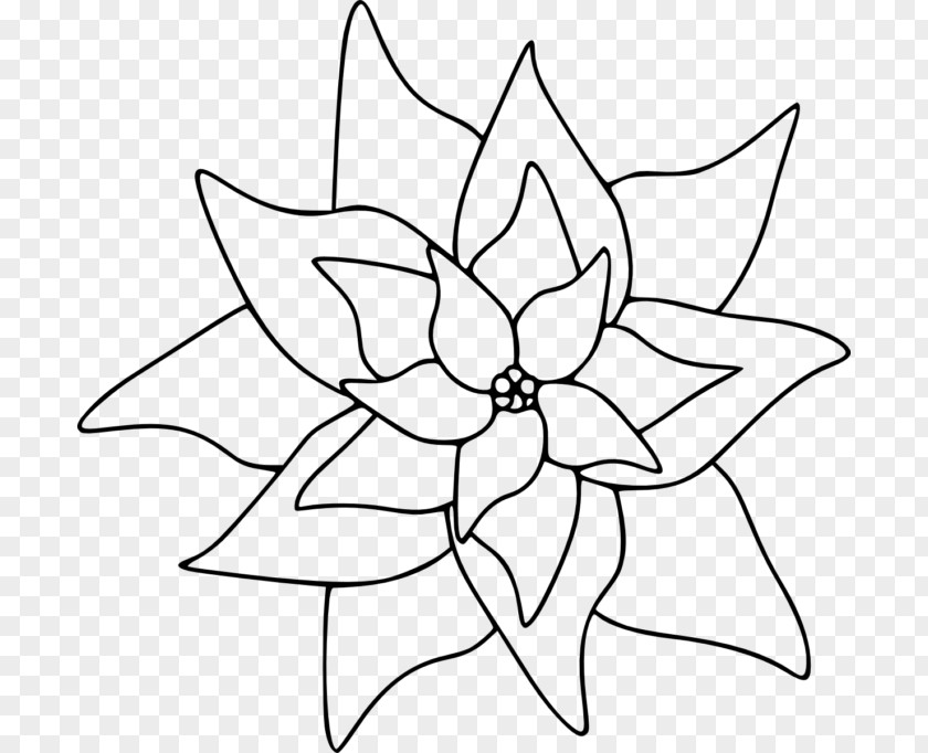 Flower Poinsettia Coloring Book PNG