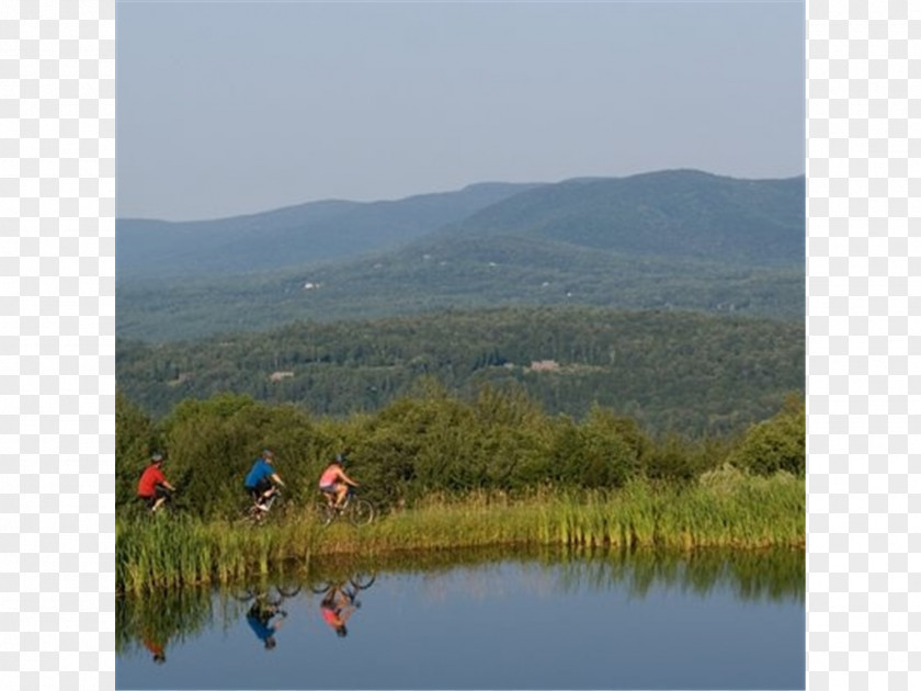 House Trapp Family Lodge Condominium Accommodation Apartment PNG