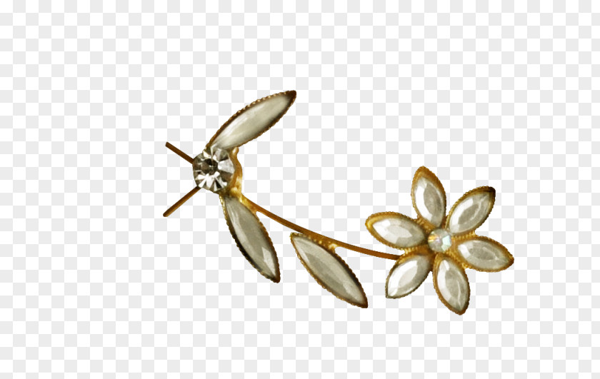 Jewellery Earring Pearl PNG