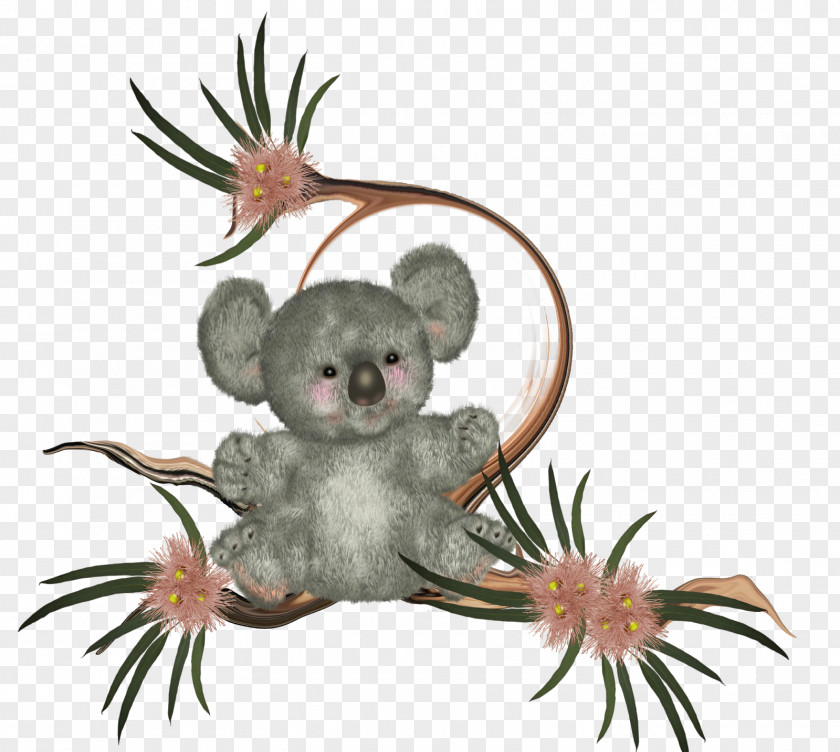 Koala Vertebrate Mouse Marsupial Mammal PNG
