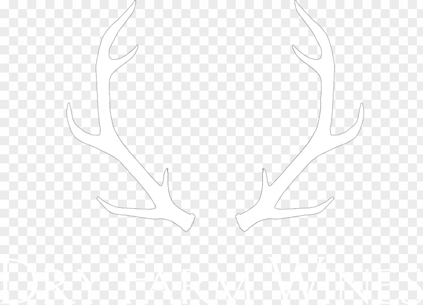 Reindeer Antler Product Design Pattern Art PNG