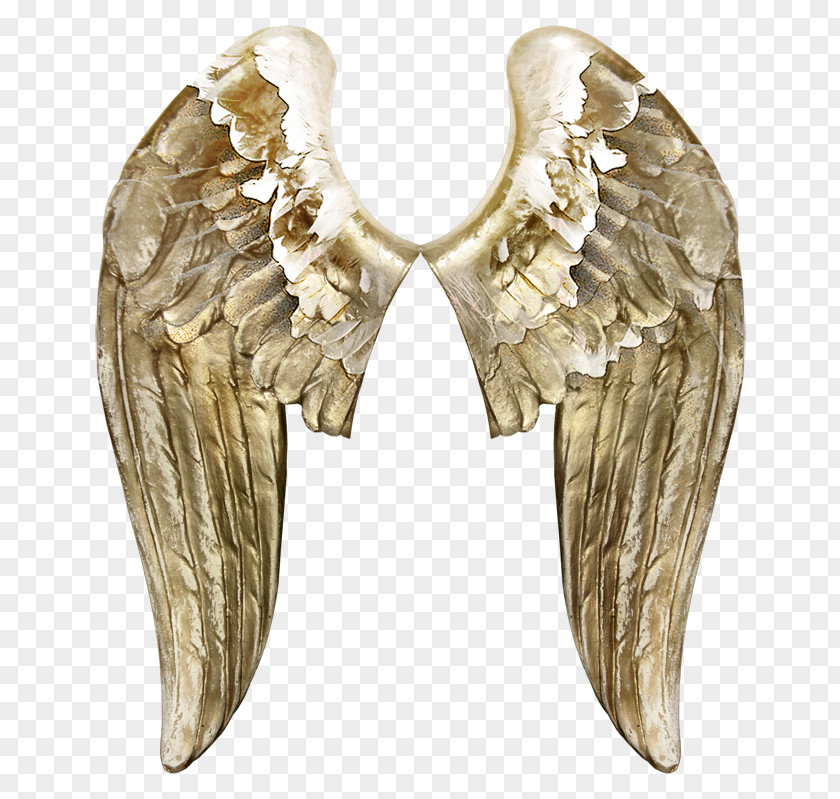 Angel Wings Angels Wing Butterfly PNG