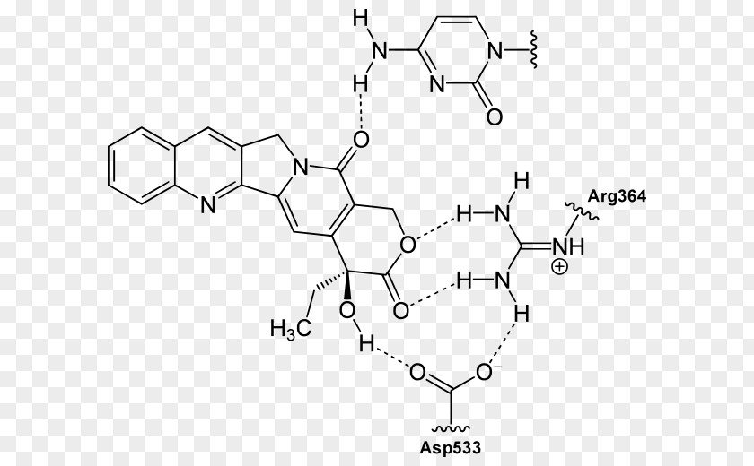 BINDING Camptothecin Structure Quinoline Alkaloid Chemistry PNG