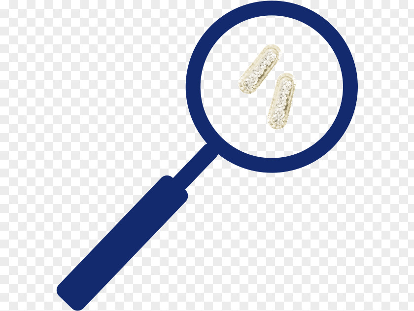 Brush Industrial Design Magnifying Glass Cartoon PNG