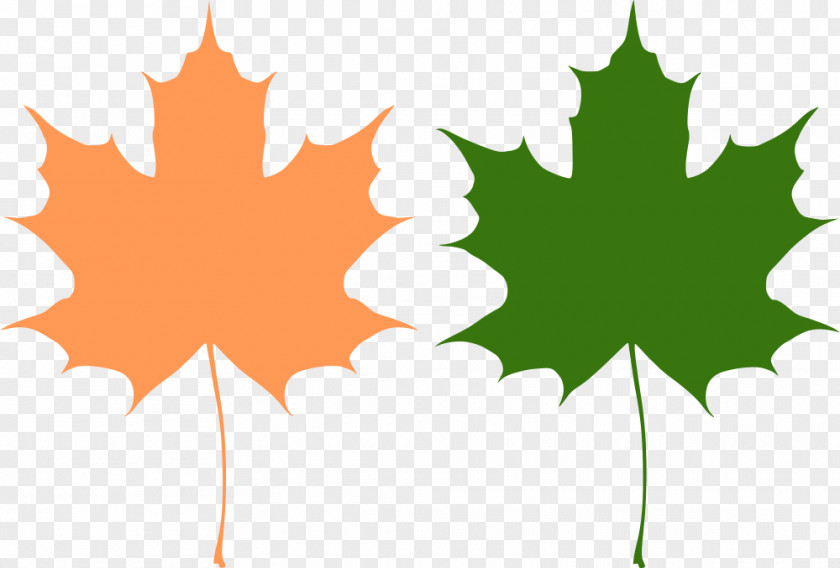Canada Maple Leaf Clip Art PNG
